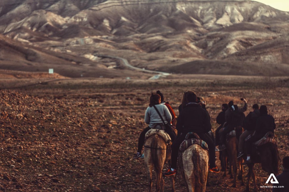 People on a horseback riding tour