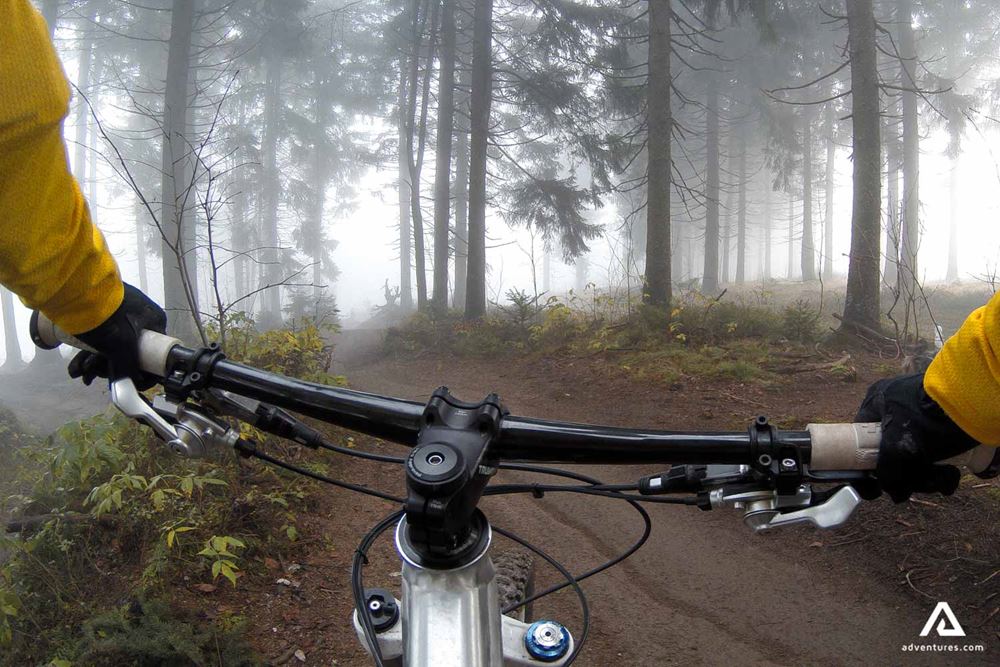 Mountain biking trail in the forest
