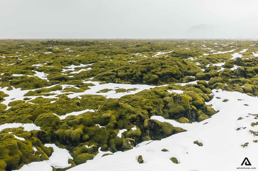 Eldhraun Lava Field in Iceland