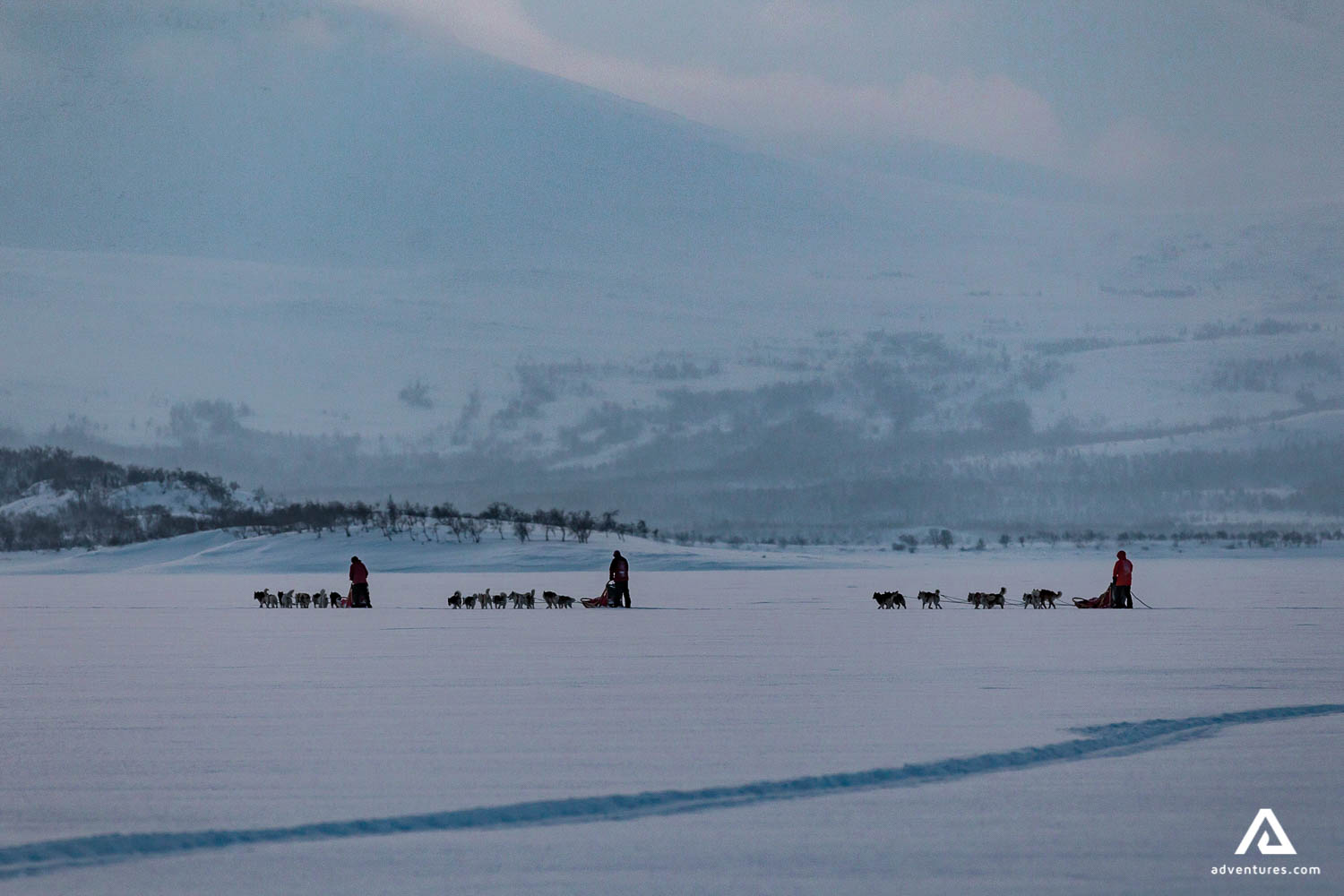 Dog Sledding Tours In Canada