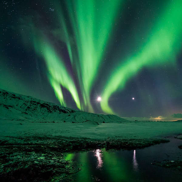 Diskret stimulere Uddrag Northern Lights Tours in Iceland | Adventures.com