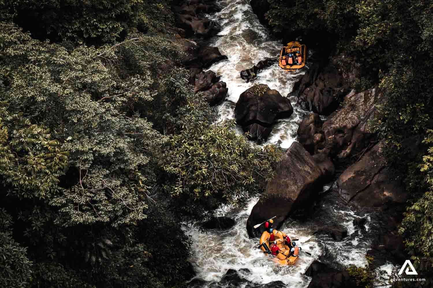 Whitewater rafting tours