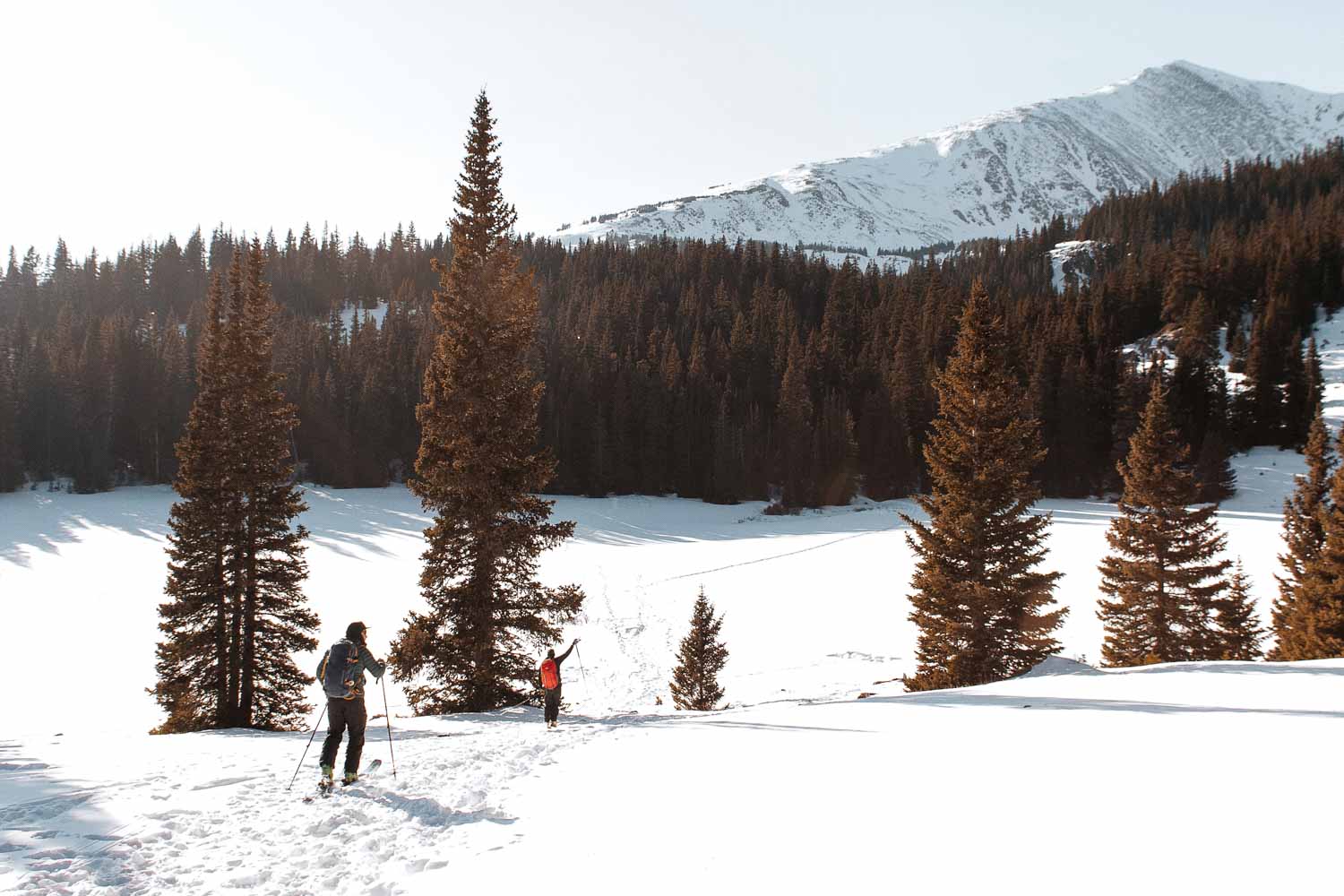 Cross-Country Skiing in Canada