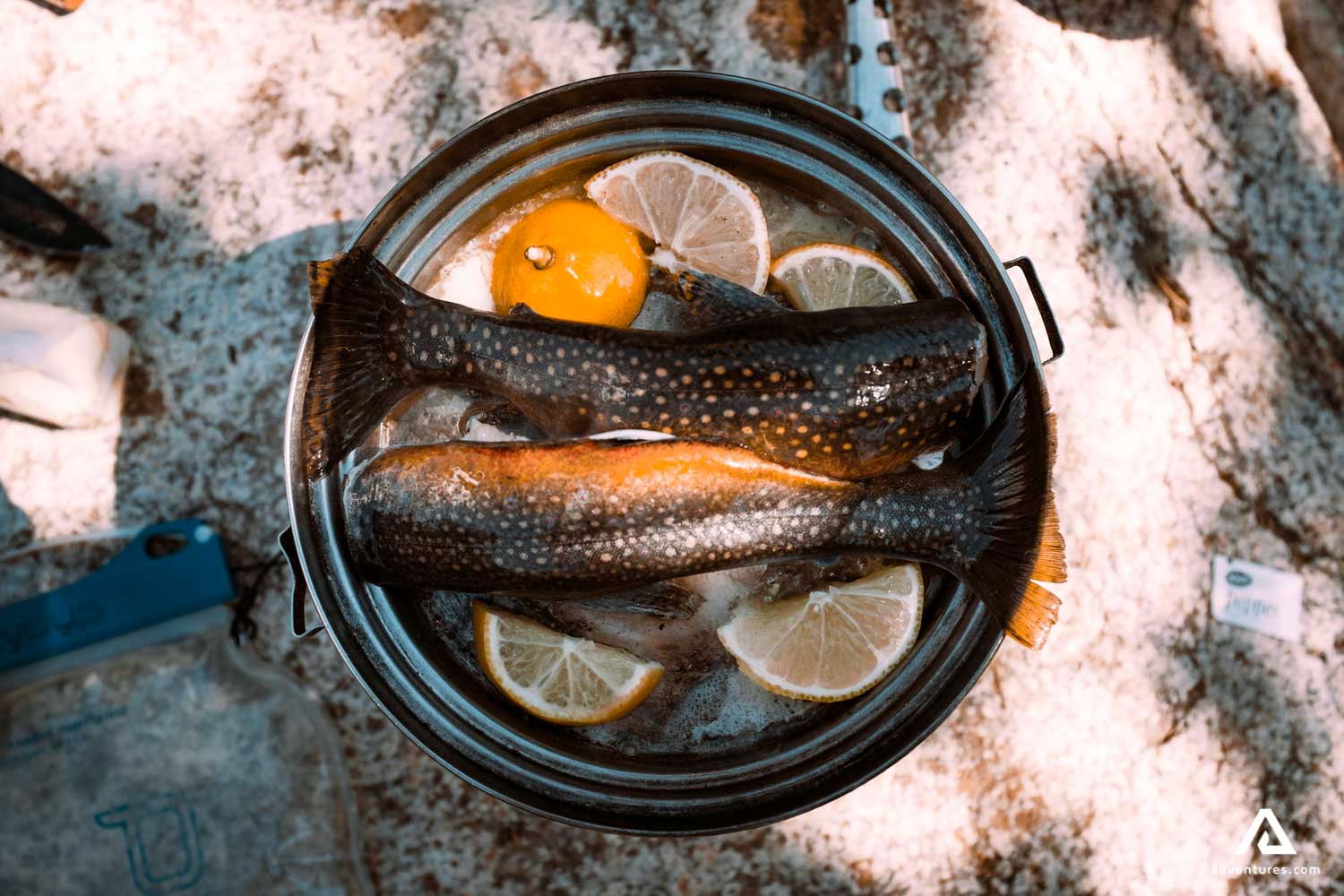 Fish Preparing in Wilderness