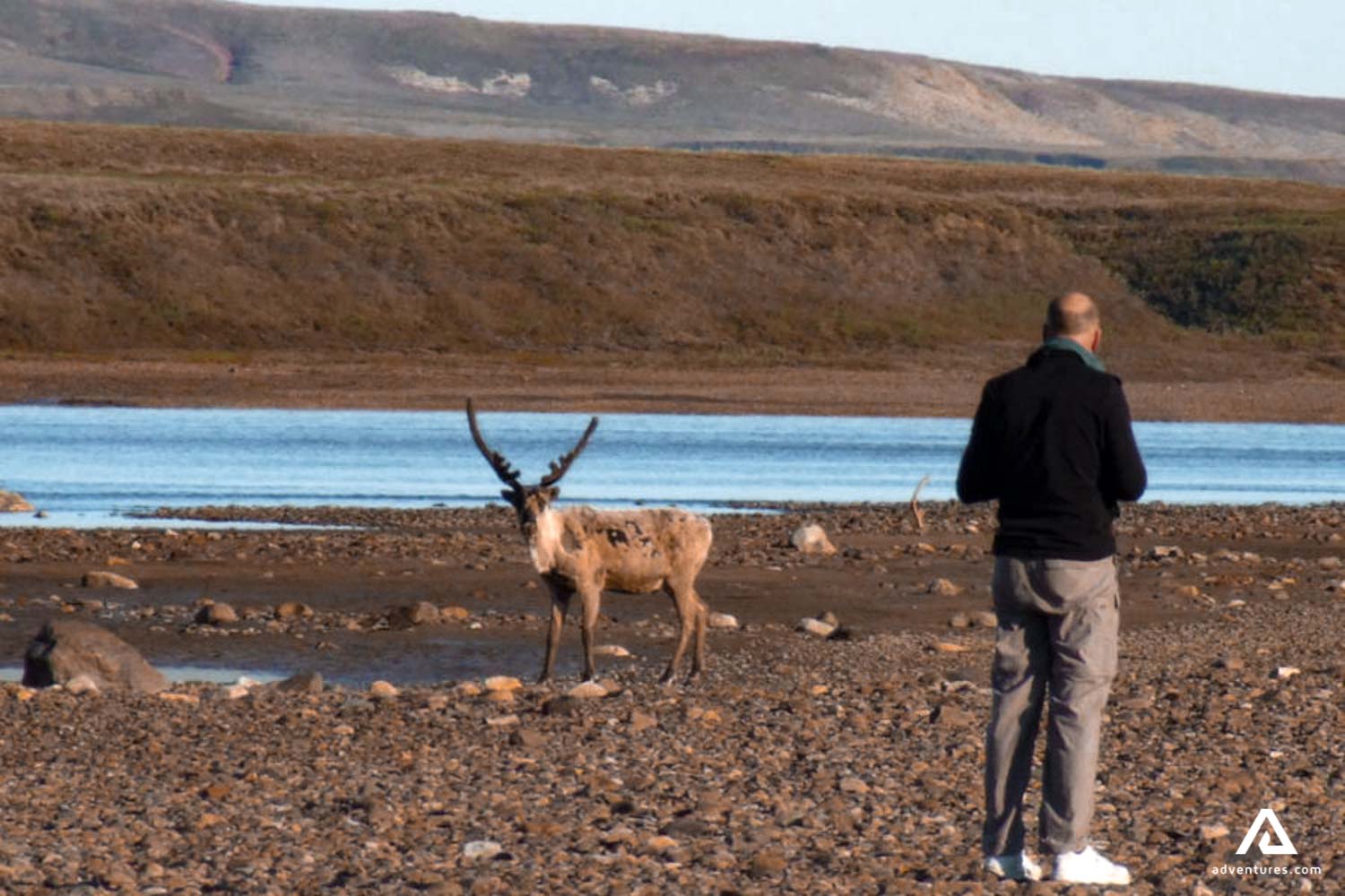 photographer spotting wildlife