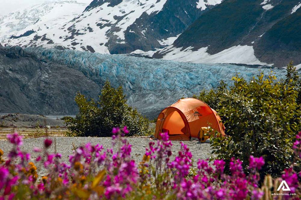tent near a glacier