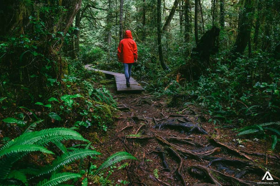 12 Best Hiking Trails In The World Adventurescom 12 Best Hiking Trails In The World Adventurescom