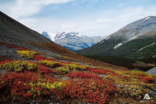 autumn colors in canadian mountain range