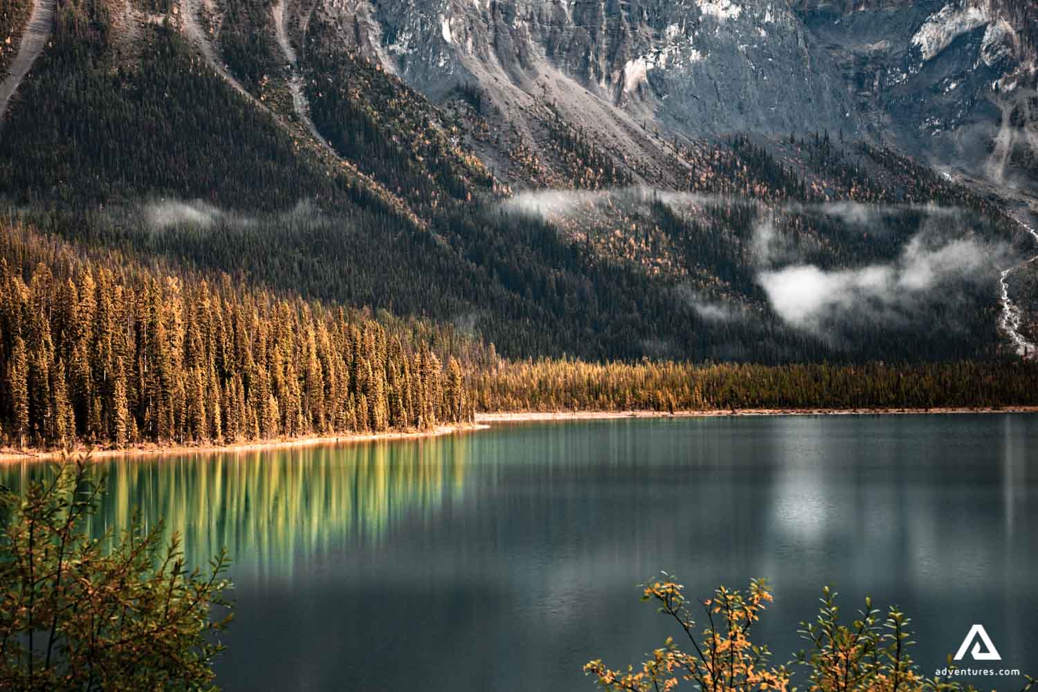 forest reflection on a lake in canada