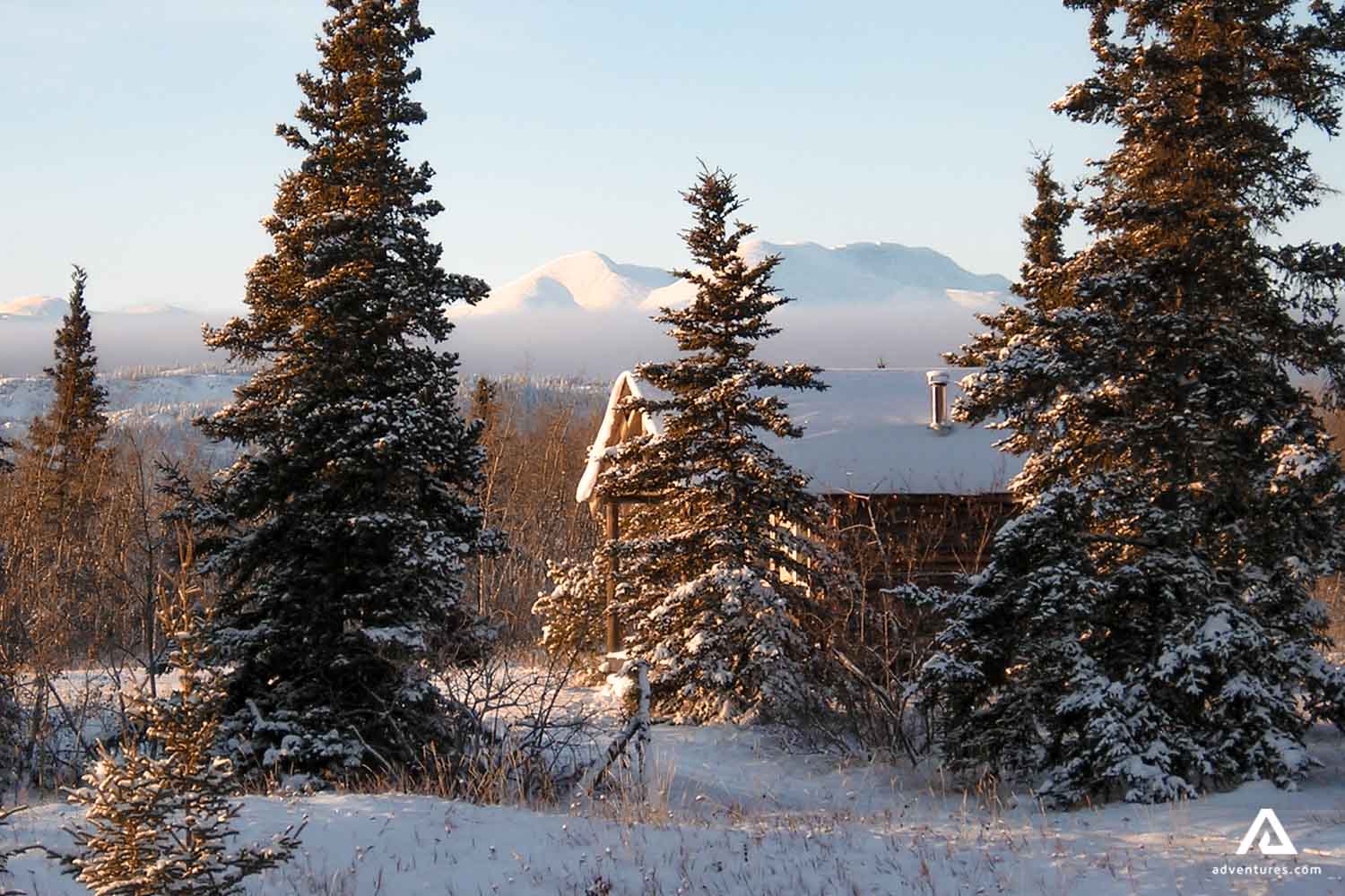 small cabin in a snowy forest