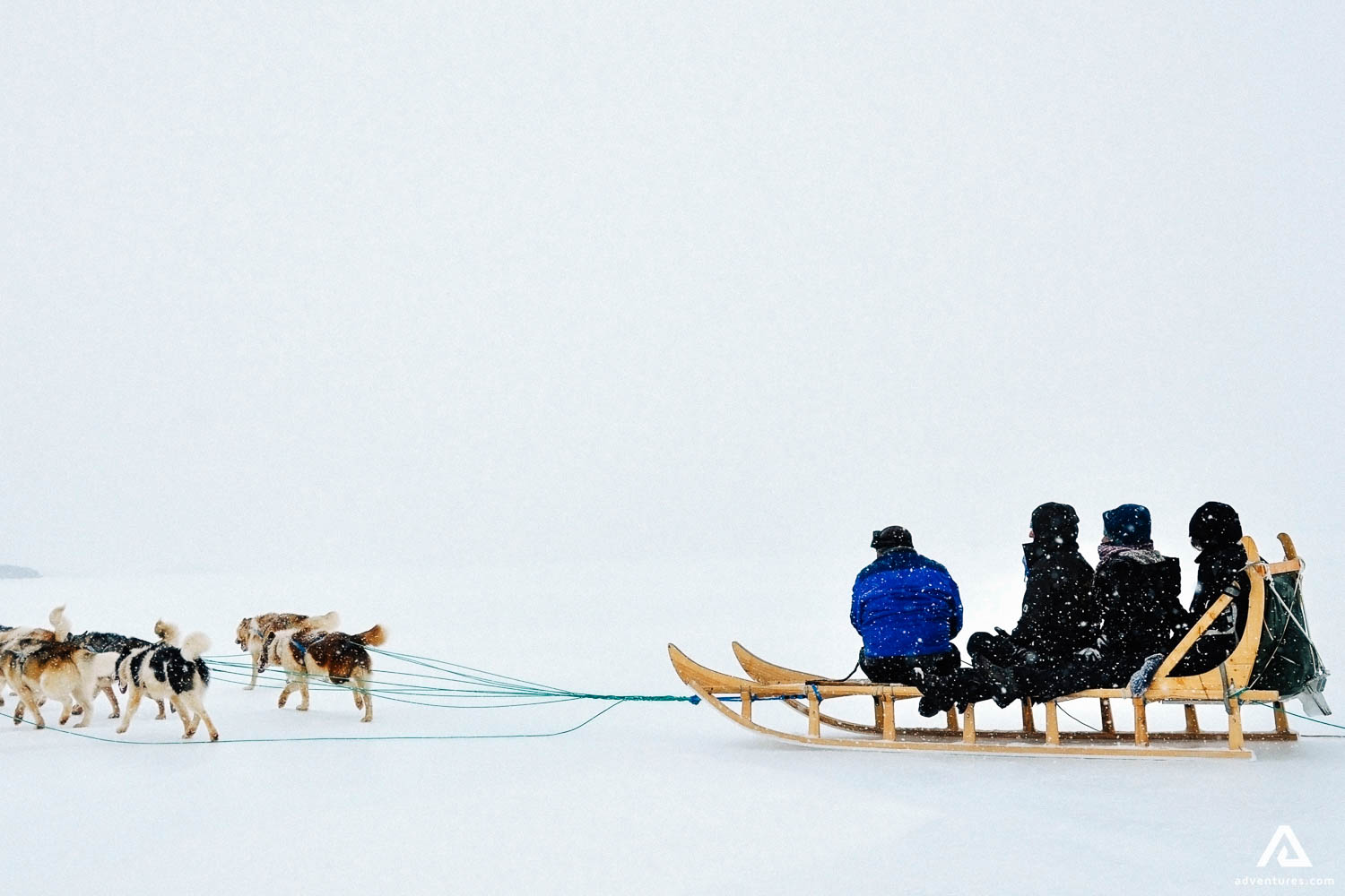 Inuit People Dog Sledding