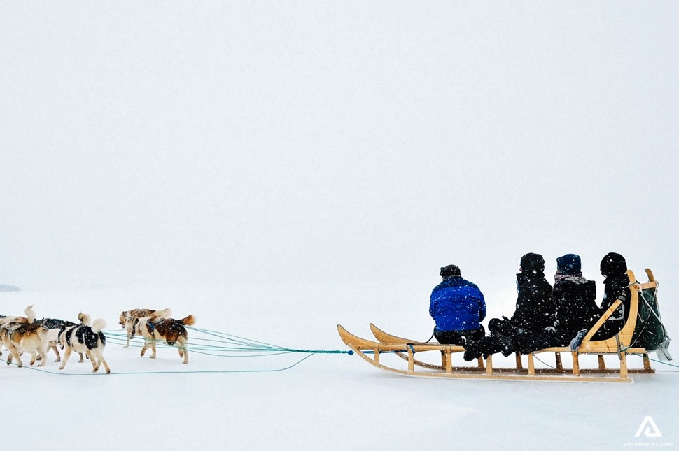 Inuit People Dog Sledding