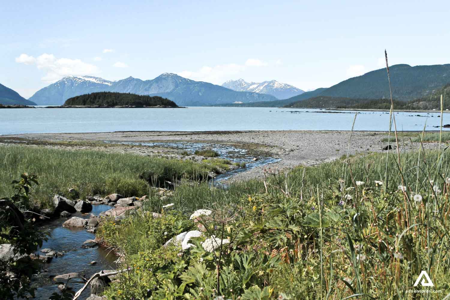 a view of yukon river in summer