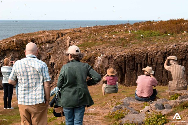 group bird watching near a cliff in canada