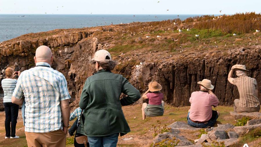 group bird watching near a cliff
