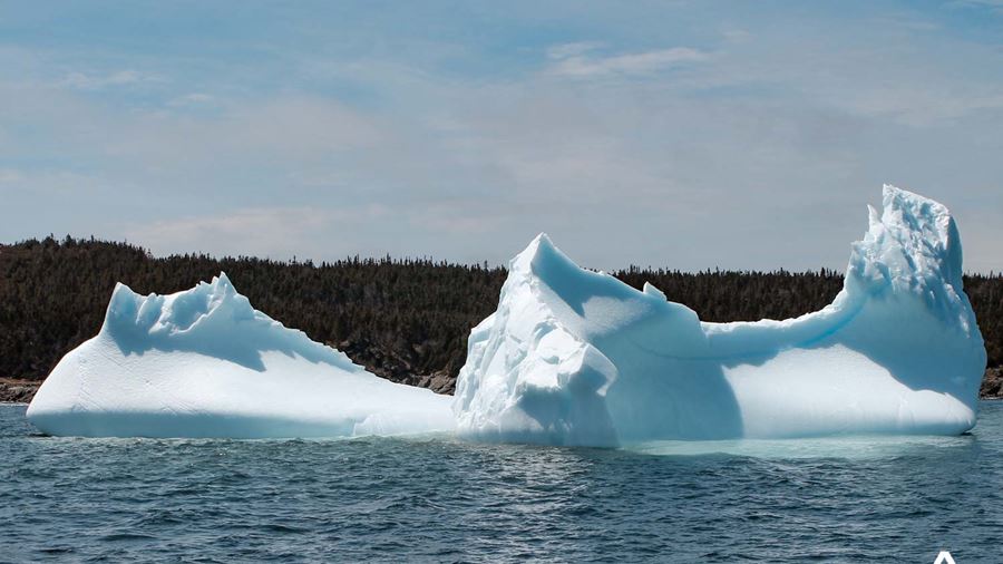 icebergs floating in canada