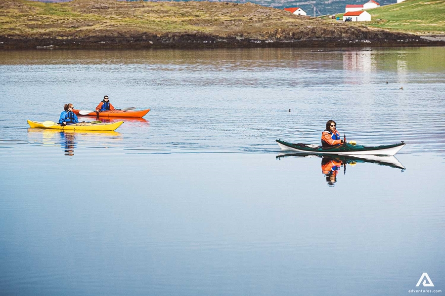 people kayaking around fjords