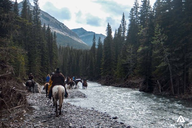 crossing a forest river with horses