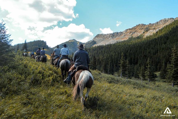 group of horse riders in summer in canada