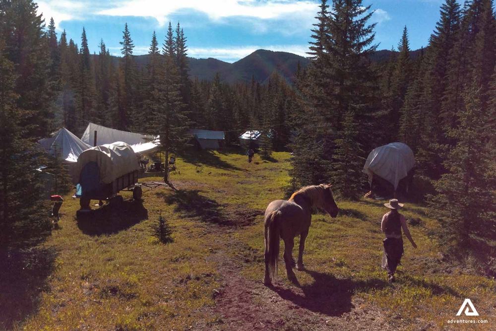 campsite area with horses roaming