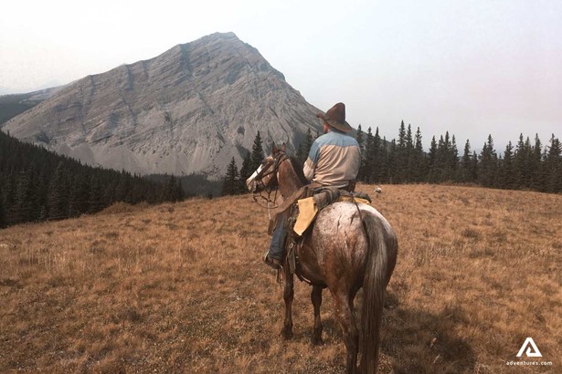 horse rider near mountains in canada