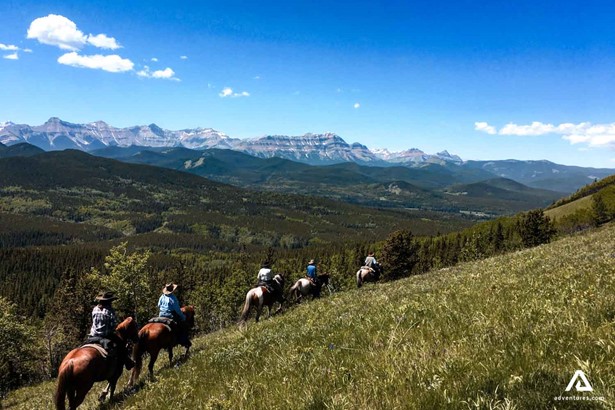 riding horse in summer through mountains