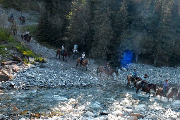 large group crossing a river with horses