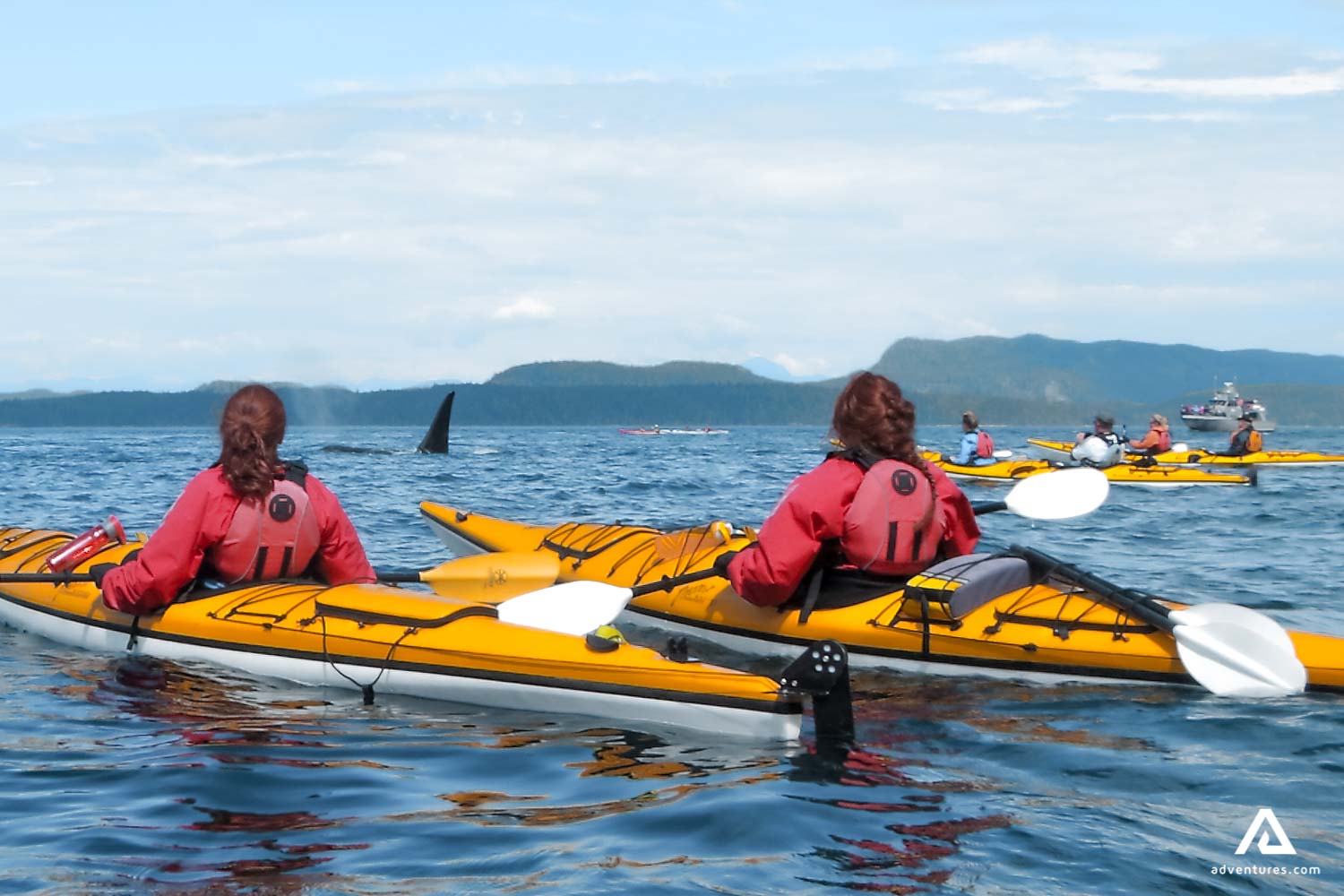 Sea Kayaking & Orcas Watching British Columbia | Adventures.com