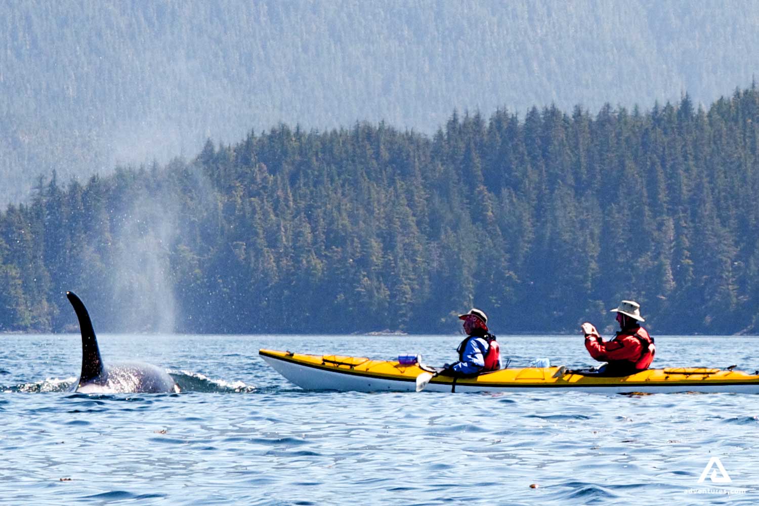 Sea Kayaking & Orcas Watching British Columbia