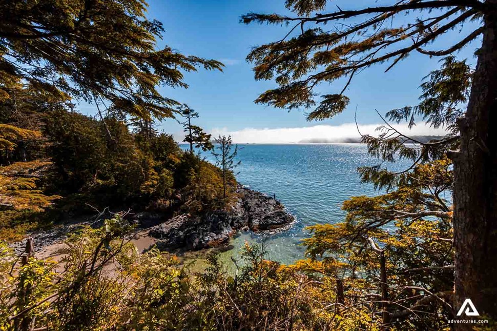 Vancouver Island in Canada on a summer day