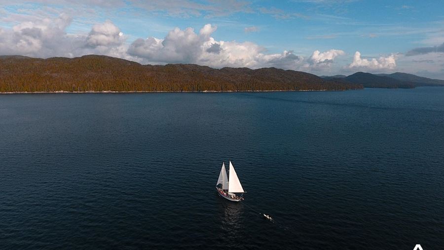 aerial view of a sail boat