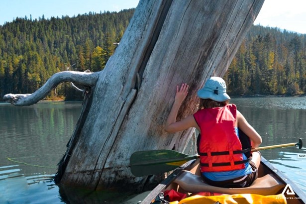 touching a fallen tree while canoeing