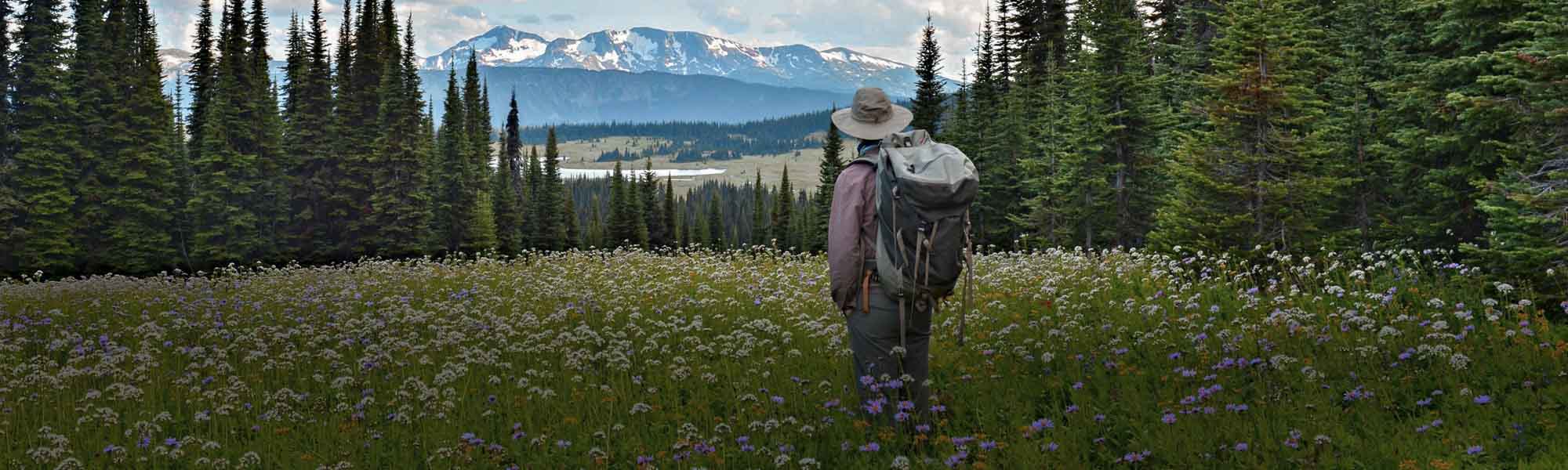 Hut To Hut Alpine Hiking Tour In Wells Gray Adventures