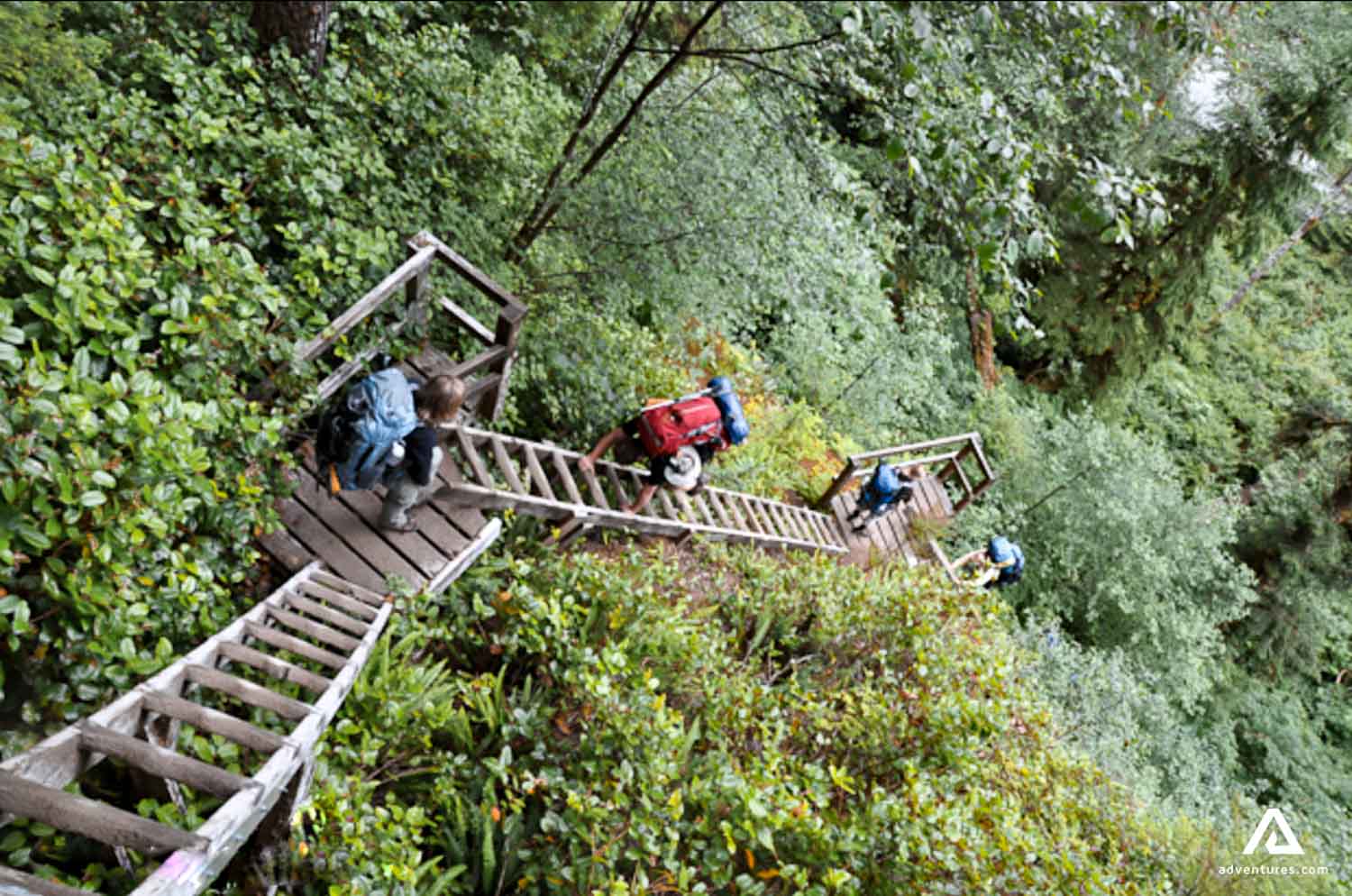climbing down steep stairs on a hiking trail