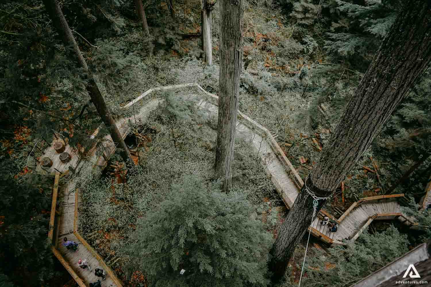 Hiking Vancouver Island Trails