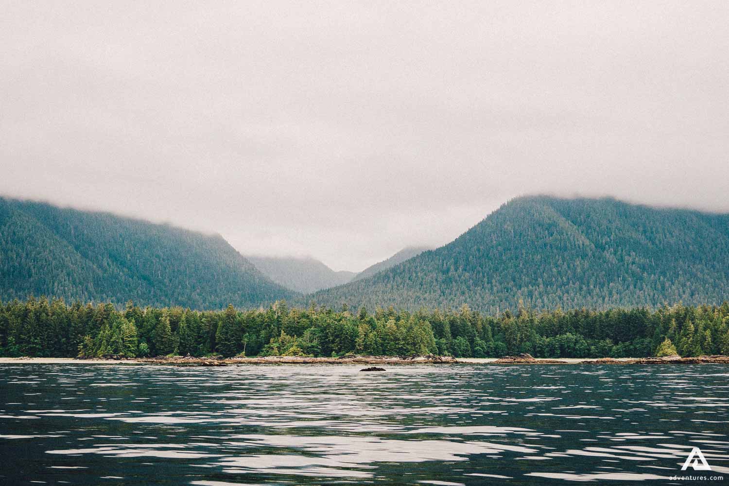 Tofino Canada Destination Landscape Trees