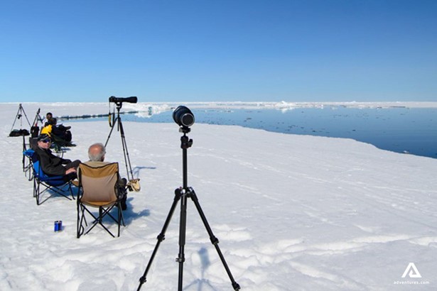 photographers waiting for polar bears in canada