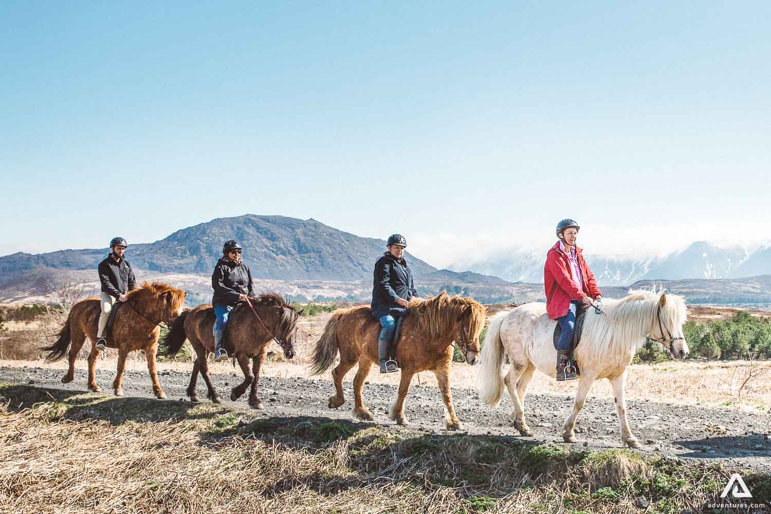 Four people walking on horses in Iceland
