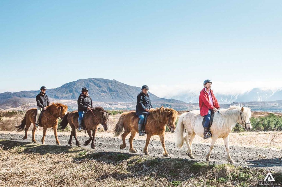 Four people walking on horses in Iceland
