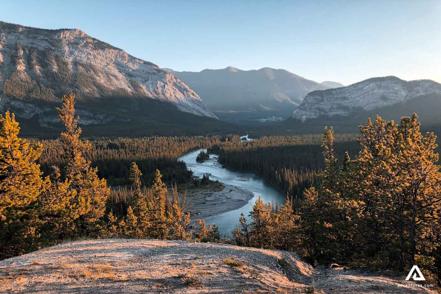 sunset at a forest in canadian rockies mountains
