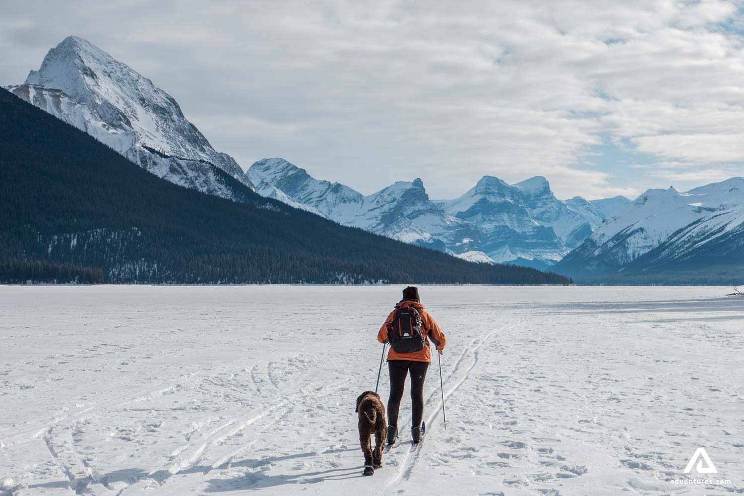 skiing on a frozen lake with a dog in winter