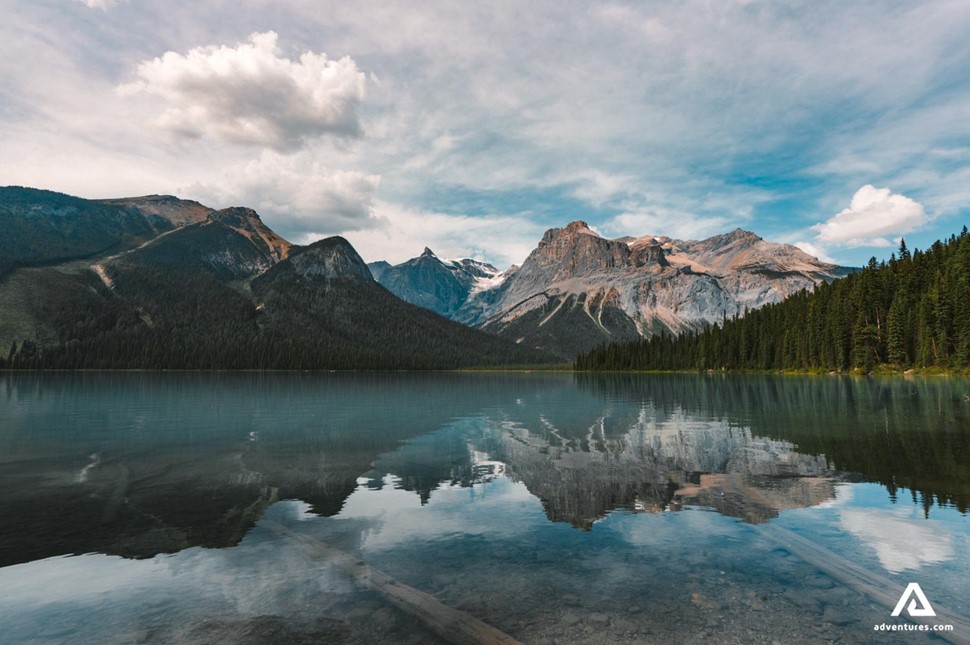 mountain and forest landscape in yoho national park