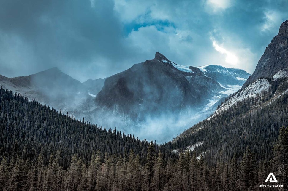 foggy and misty view of a forest in canada