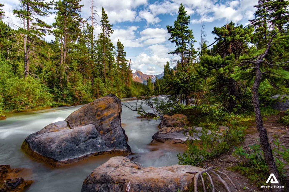 wapta waterfall in canada yoho national park