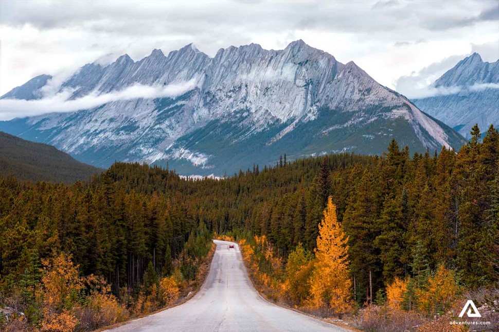 autumn trees and a road in canadian rockies