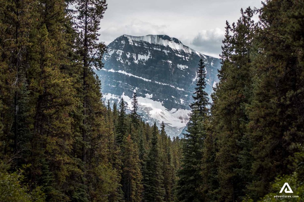 edith mountain view through forest trees in canada