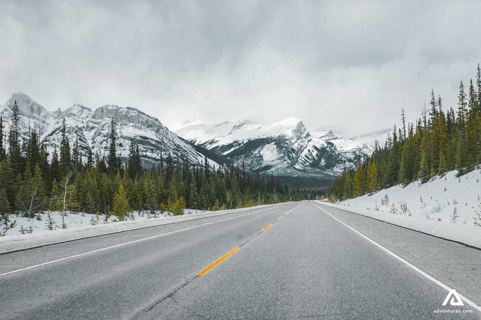 paved road in winter near jasper national park in canada