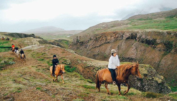 Riding horses near a canyon in Iceland