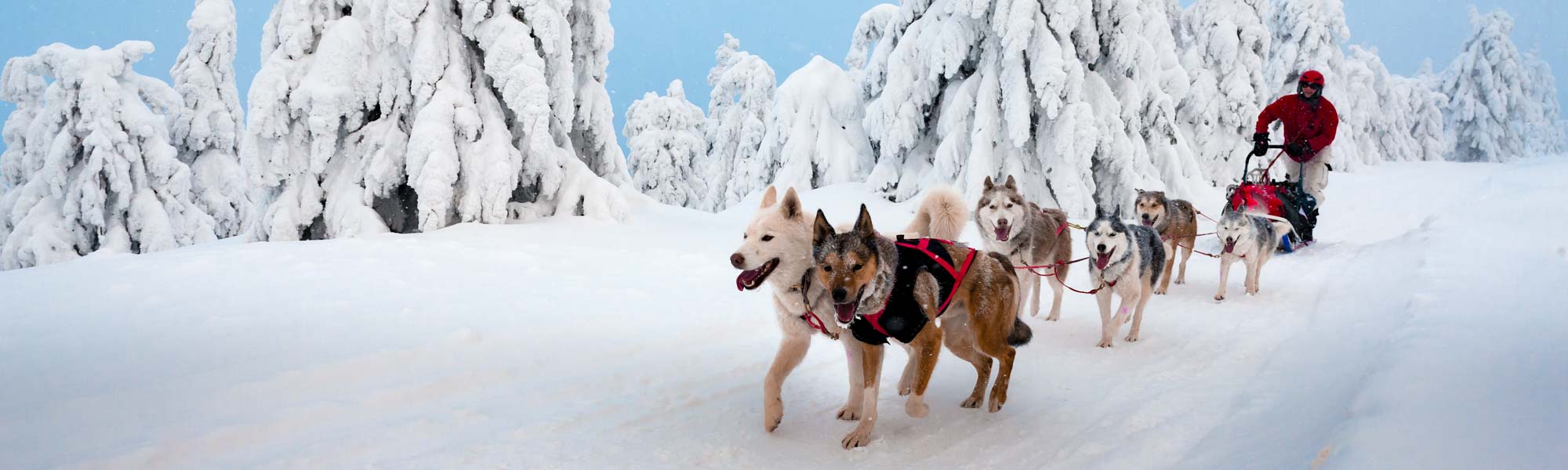 Winter Tours in Canada