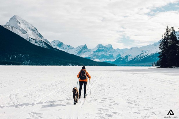 man skiing with a dog near him in canada